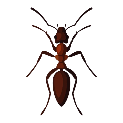 Ilustrație furnică