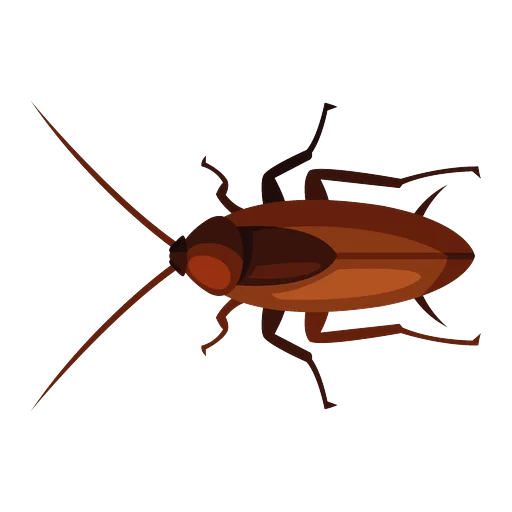 Ilustrație gândac
