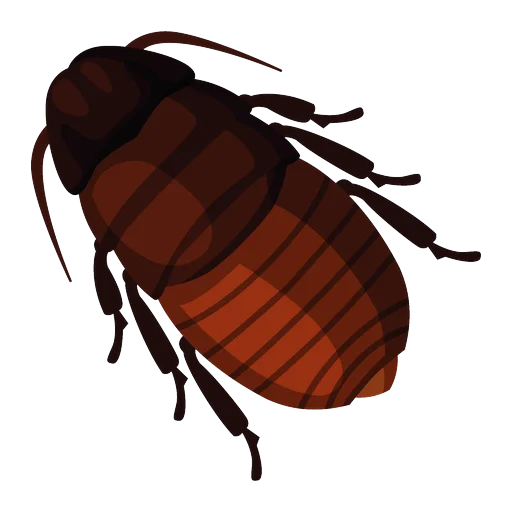 Ilustrație ploșniță