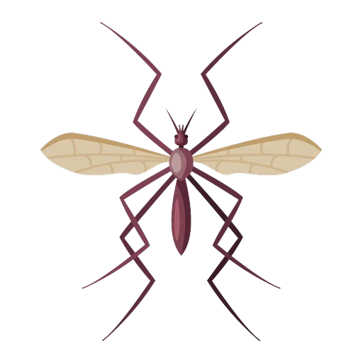 Ilustrație țânțar